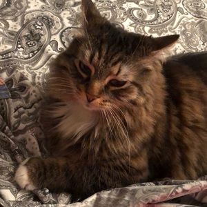 Meet your Posher, Vicki